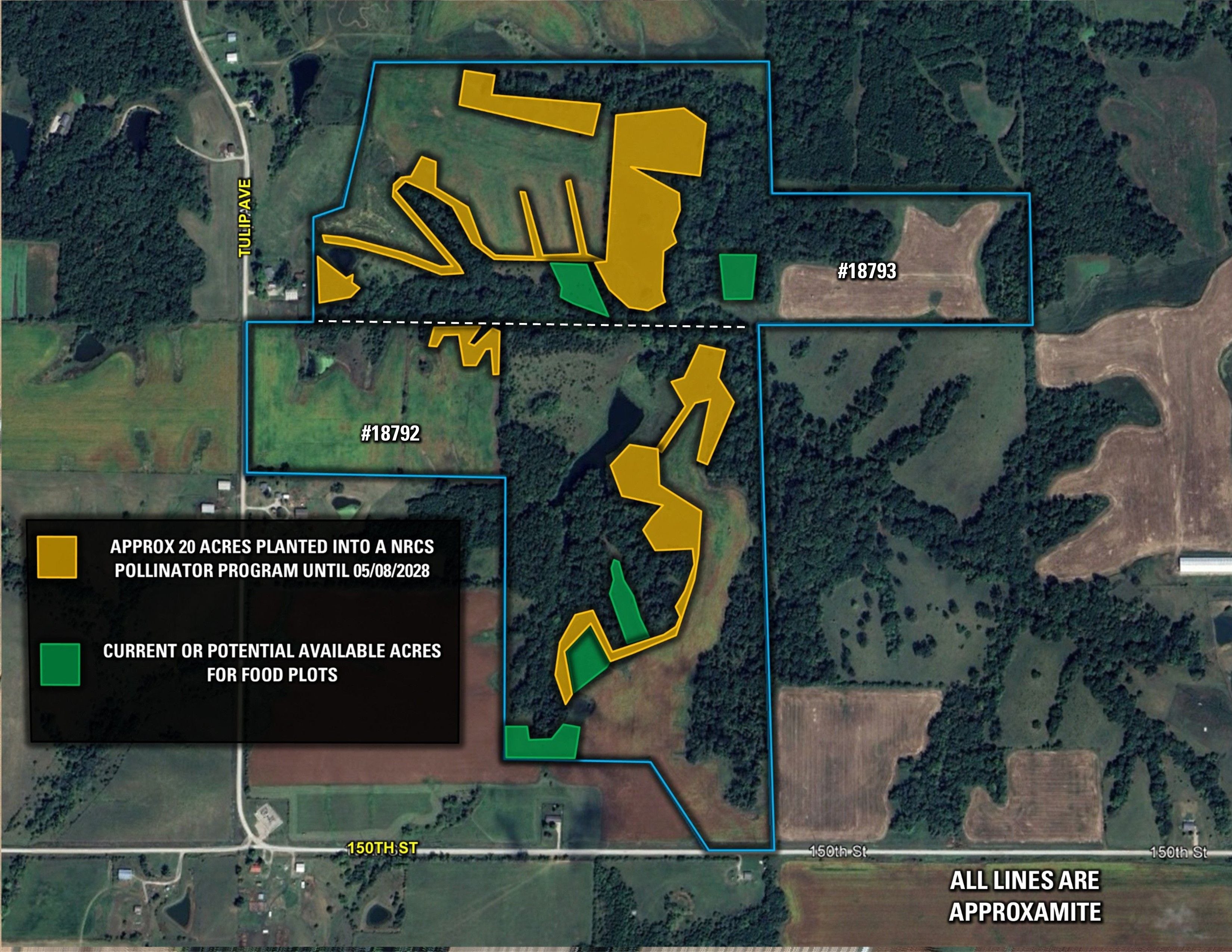 Listing Photo: Pollinator Wolfe